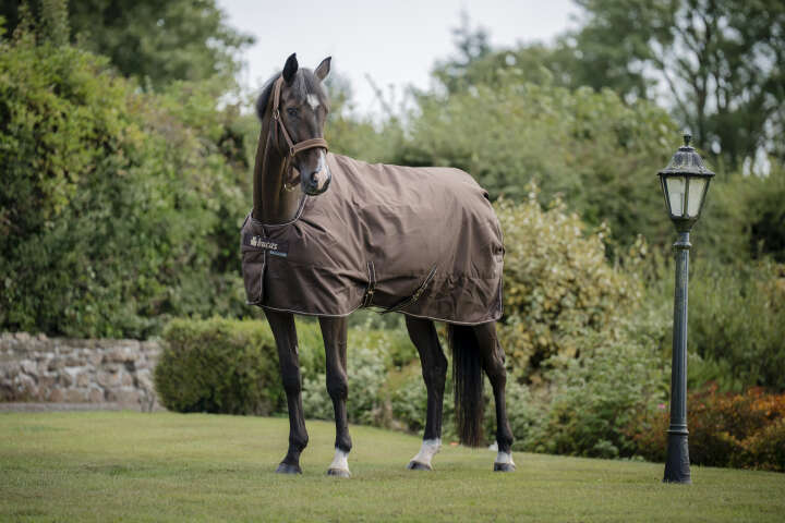 bucas Outdoordecke Irish Turnout & Neck 300 g Espresso